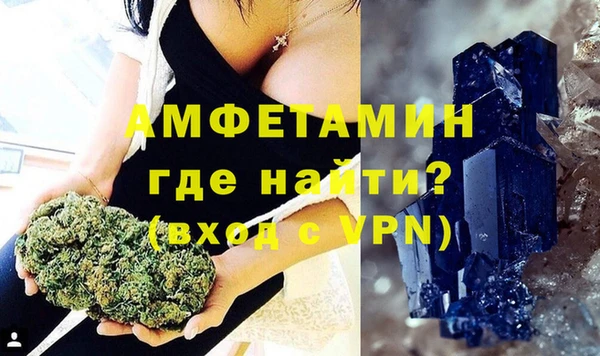 прущие грибы Осинники