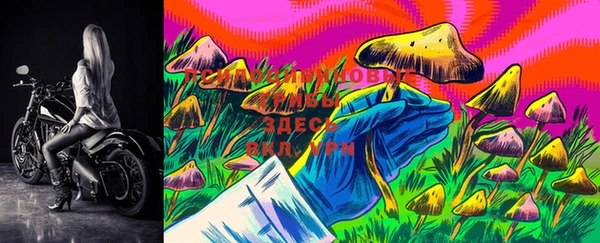 марки lsd Переславль-Залесский