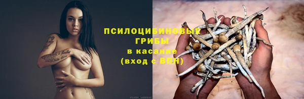 винт Пестово