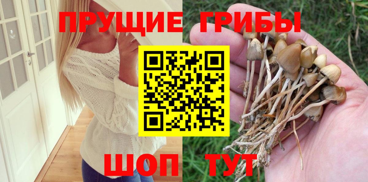 Псилоцибиновые грибы прущие грибы  Вход с VPN  Татарск  Псилоцибиновые грибы мухоморы 
